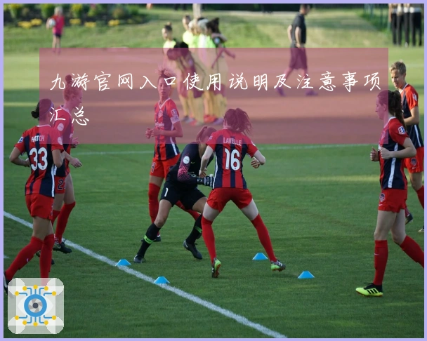 九游官网入口使用说明及注意事项汇总